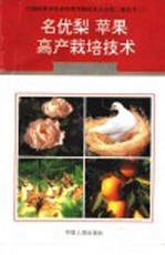 名优梨、苹果高产栽培技术