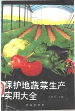 保护地蔬菜生产实用大全