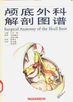 颅底外科解剖图谱