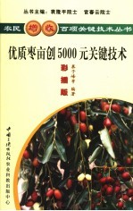 优质枣亩创5000元关键技术  彩插版
