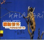 猫鼬情怀  卡拉哈迪沙漠六年