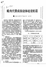 蛤肉代替卤虫幼体培育虾苗