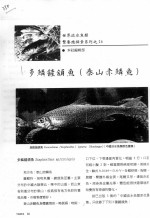 多鳞鏟颔鱼  泰山赤鳞鱼