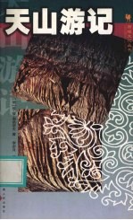 天山游记  第2版