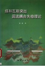 煤和瓦斯突出固流耦合失稳理论
