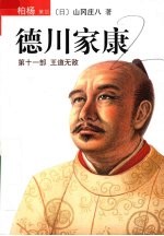 德川家康  第11部  王道无敌
