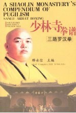 少林寺拳谱  三路罗汉拳