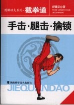 截拳道  手击·腿击·擒锁