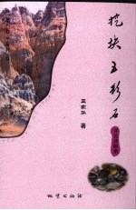 挖块五彩石  评论诗歌集