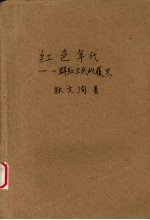 红色年代  一群红卫兵的履灭 电子书封面