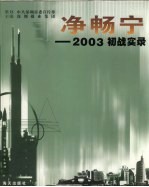 净畅宁：2003初战实录
