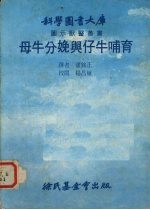 母牛分娩与仔牛哺育