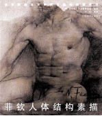 菲钦人体结构素描