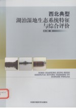 西北典型湖泊湿地生态系统特征与综合评价