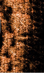 宋诗钞初集  敛南诗钞 电子书封面