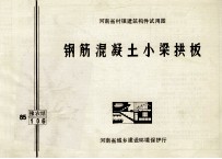 钢筋混凝土小梁拱板