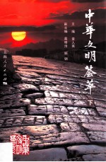 中华文明荟萃  下