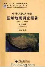 中华人民共和国区域地质调查报告  伯力克幅（I44C001003）