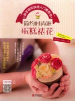 简约时尚派蛋糕裱花  新手裱花快速入门推荐书