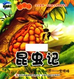 昆虫记  昆虫中的泥水匠  舍腰蜂