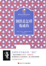 金熊猫世界文学经典名家名作  钢铁是怎样炼成的