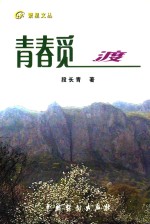 繁星文丛  青春觅渡