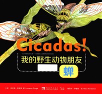 我的野生动物朋友  蝉