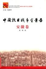 中国抗日战争全景录  安徽卷