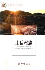 中国名村志丛书  上岳村志