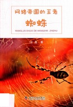 网络帝国的王者  蜘蛛