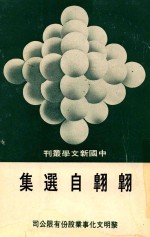 中国新文学丛刊  43  翱翱自选集 电子书封面