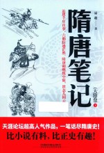 隋唐笔记  大隋卷  下