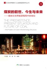 煤炭的前世、今生与未来  煤炭在世界能源格局中的地位