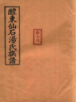 醴东仙石汤氏族谱  1