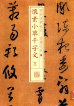 书法经典放大墨迹系列  怀素小草千字文  2