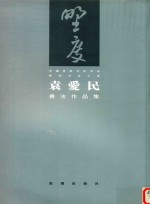 廊坊书法大系  袁爱民书法作品集