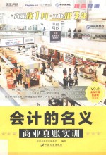 会计的名义  商业真账实训