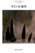 中国当代摄影图录  魏壁