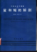 中国鱼类专著集  3  鲨和鳐的解剖