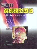 实用解剖摄影图谱  第2卷  颈、头、背、胸、上肢