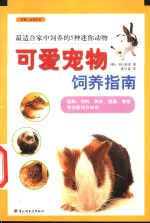 可爱宠物饲养指南  最适合家中饲养的5种迷你动物