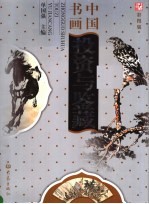 中国书画投资与鉴藏  彩图版