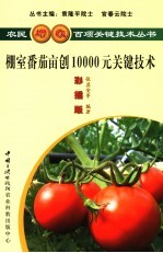 棚室番茄亩创10000元关键技术  彩插版