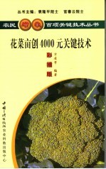 花菜亩创4000元关键技术  彩插版