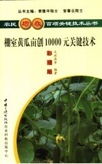棚室黄瓜亩创10000元关键技术  彩插版
