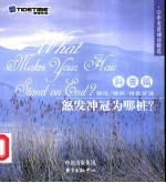 怒发冲冠为哪桩？