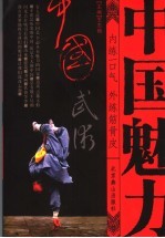中国武术  内练一口气  外练筋骨皮