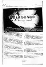 蓝星鱼的饲养与敏殖