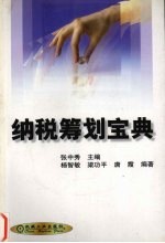 纳税筹划宝典