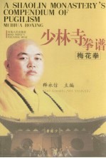 少林寺拳谱  梅花拳